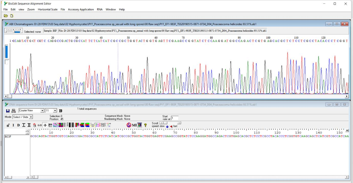 csm_dna_d22378080c